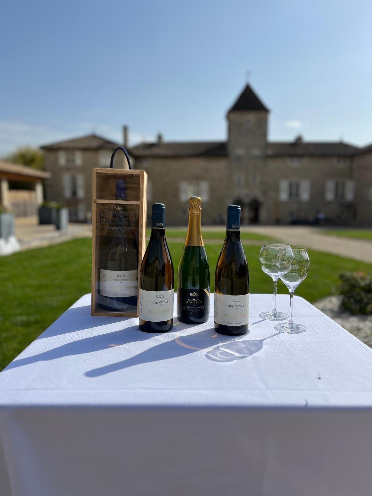 Hotel-Restaurant Le Chateau De Besseuil, Macon Nord - Teritoria Clesse  Luaran gambar